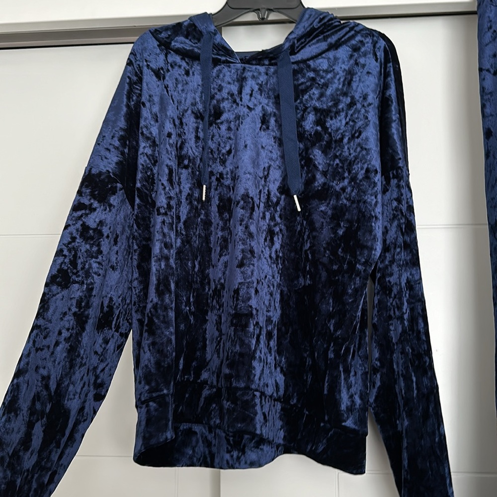 ALFANI Velour Hooded Top (NWOT)